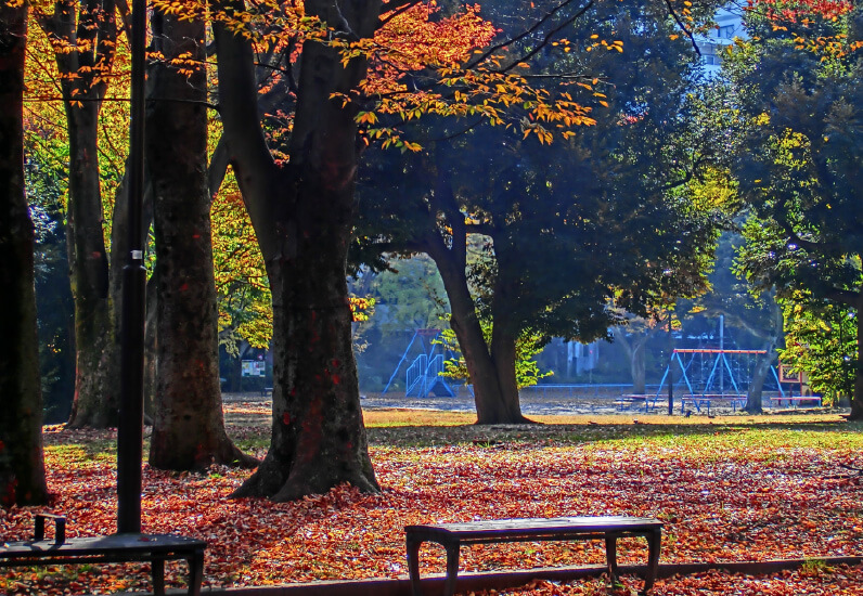 IT公園事業
